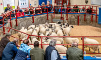 Tuesday 3rd October-35